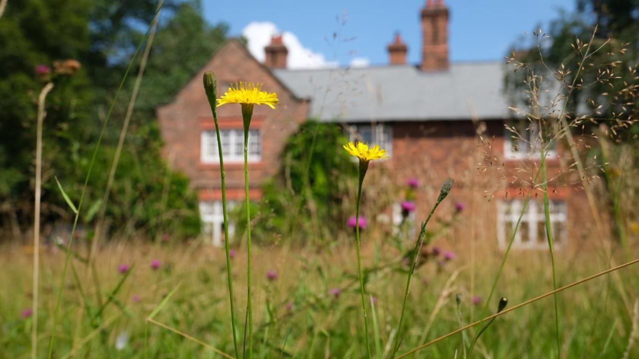Weaverham Beech Hill B&B מראה חיצוני תמונה