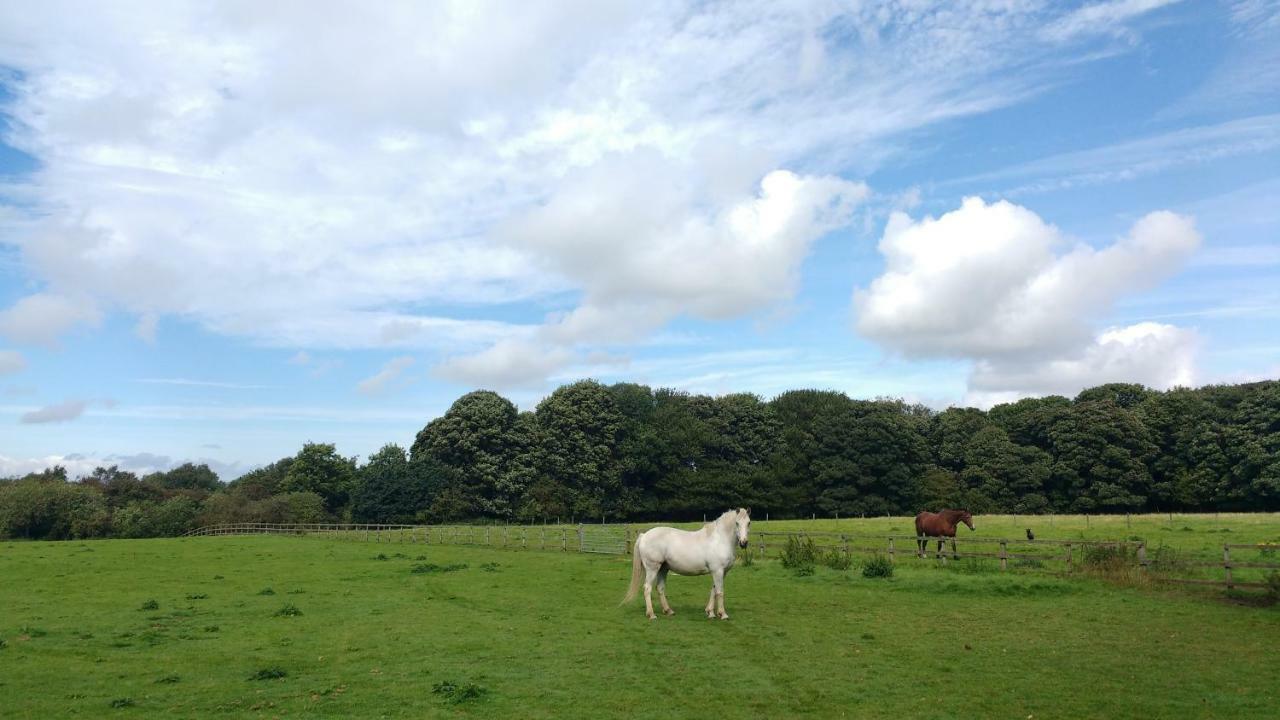 Weaverham Beech Hill B&B מראה חיצוני תמונה